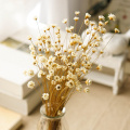 Natural Dried Flowers Bunny Tail Daisy Wheat Lavender Real Flower Bouquet for Home Wedding Decoration Rabbit Tail Grass Bunch