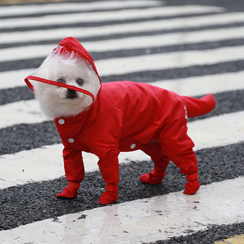 Best Dog Raincoat 2021