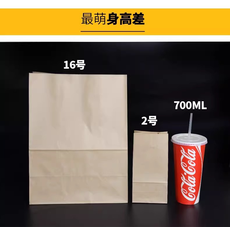 Durable Paper Bags for Takeout and Outdoor Catering