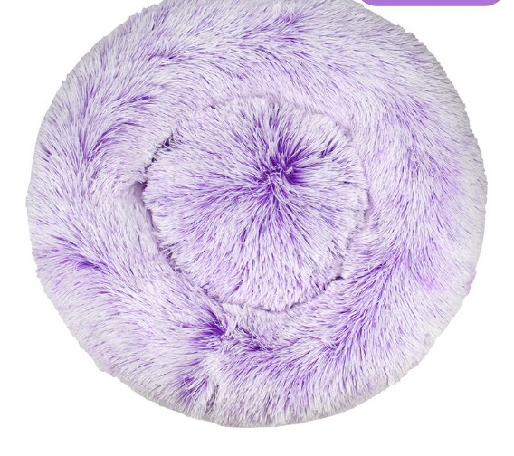 Purple Jpg