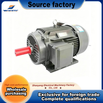 Advanced Low Carbon Motor for Industrial Efficiency