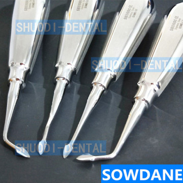 4 pcs/set Dental Extraction Minimally Invasive Spade tip Elevator Dental Elevator Oral Tooth Loosening Root Extraction Kit