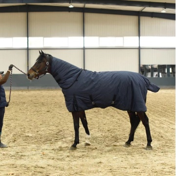 Winter Cotton 900D Waterproof Bibs Equestrian Supplies Horse Rugs Harness Caparison