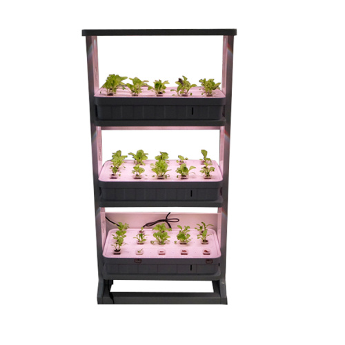 Indoor Hydroponic Lighting Growing Gardening Systems Manufacturers and Indoor Hydroponic Lighting Growing Gardening Systems Suppliers