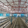 Layer Chicken Cages For Poultry