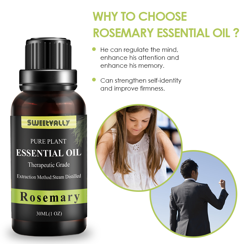 30ML Rosemary Essential Oil Reduce Anxiety Essential Oil Air Freshening Essential Oil For Enhance Memory Respiratory System