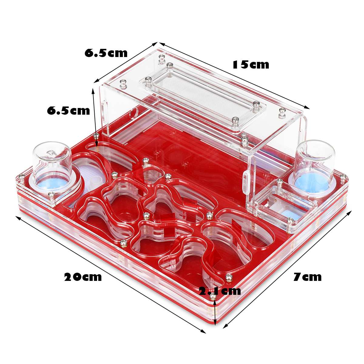 DIY Acrylic Ant Nest Large Flat Ant Farm with Feeding Area Big Ant House for Pet Anthill with Workshop Castle 20*17cm*6.5cm