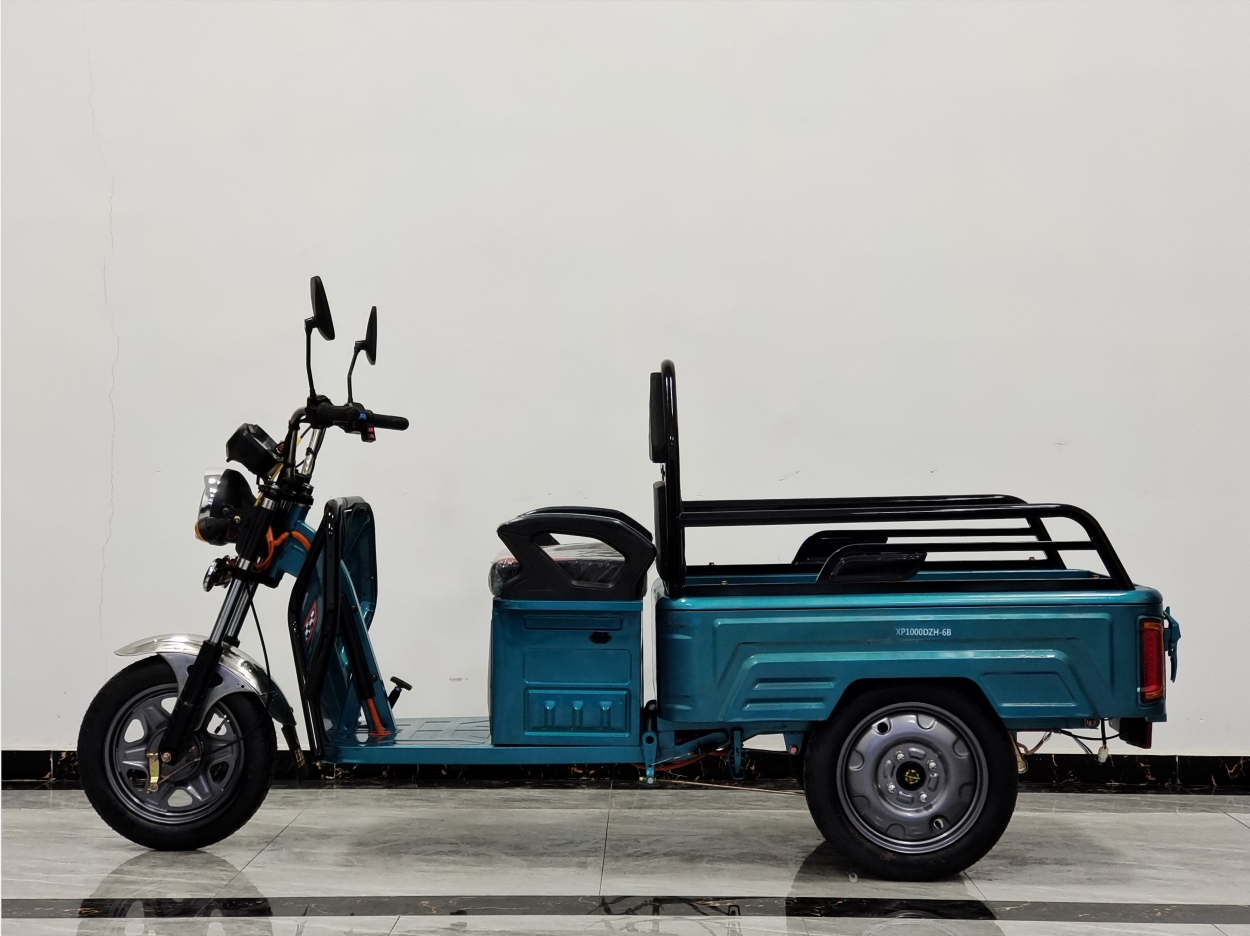Fashionable Flat Panel Electric Tricycle