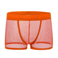 Mesh Underpants Low Rise Man Sexy Underwear 9 Color Sexy Mens Boxers Shorts Transparent Mesh See Through Net