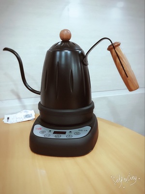 220vElectric water kettle/Variable Temperature Digital /Electric Gooseneck Kettle for Pour Over Coffee & Tea