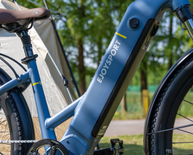 Pure Electric Bike