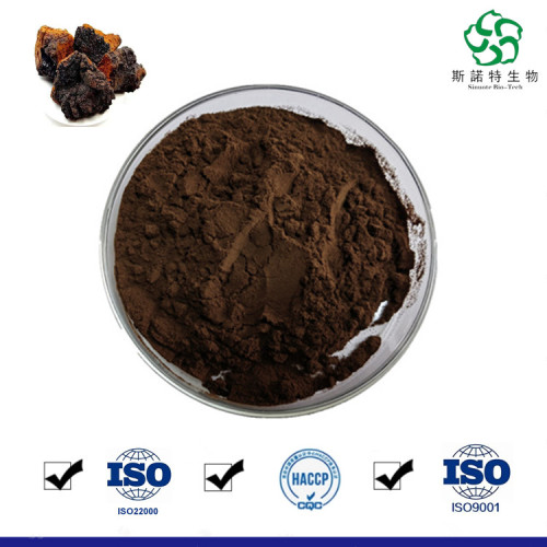 Natural Inonotus Obliquus Extract Powder for Sale, Offer Natural Inonotus Obliquus Extract Powder