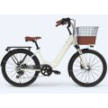 https://www.bossgoo.com/product-detail/customized-electric-bike-for-ladies-63433933.html