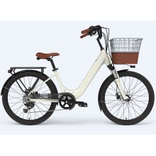 Customized Electric Bike For Ladies