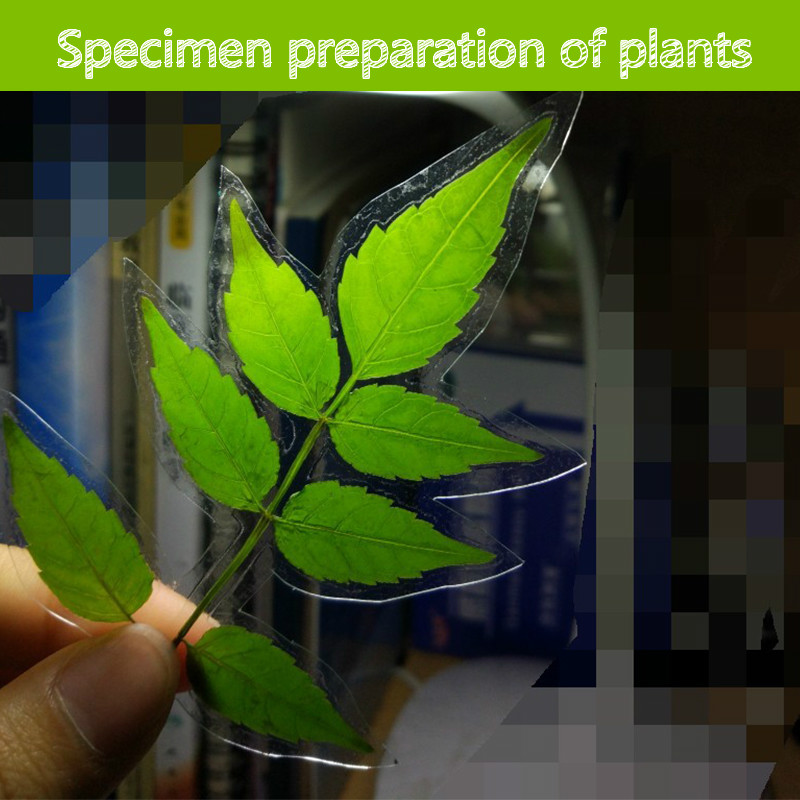 4R 6inch 6" 50pcs Cold Lamination Film PVC Transparent Photographic Roll Manual Specimen Preparation of Plants Film stickers