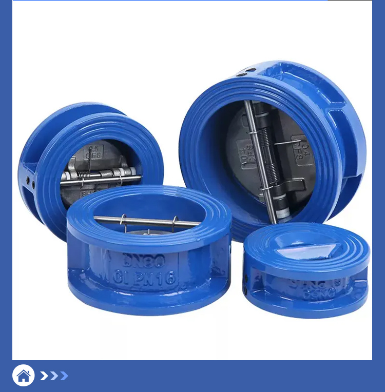 Butterfly Type Check Valve