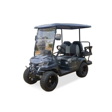 Premium Four-Passenger Gas Golf Vehicle
