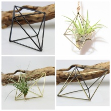 New Tillandsia Air Plants Rack Metal Geometric Iron Art Rustic Flower Planter Pot Plants Rack Hanging Baskets Garden Supplie