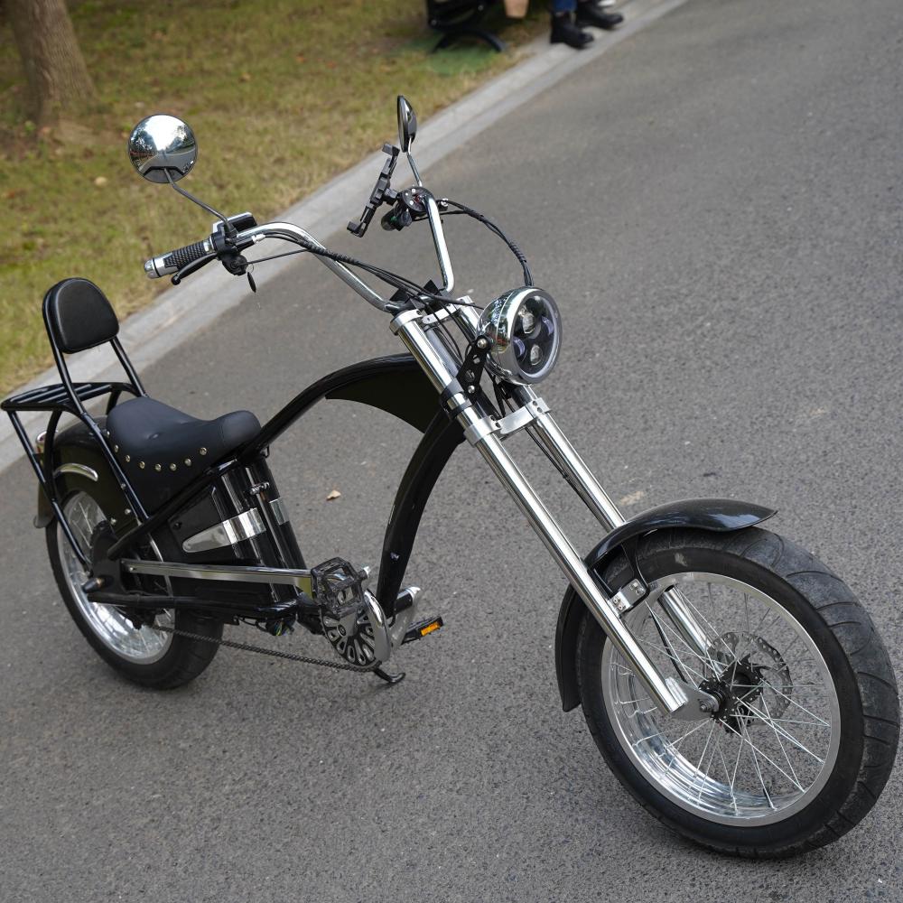 Top quality hot selling electric bike