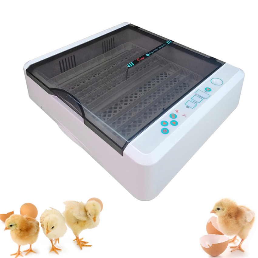 36 Automatic Egg Incubators Poultry Hatcher Digital LED Displays Egg Incubator Temperature Control Automatic Turning with Light