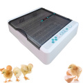 36 Automatic Egg Incubators Poultry Hatcher Digital LED Displays Egg Incubator Temperature Control Automatic Turning with Light