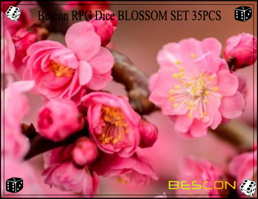 Blossom Set-7
