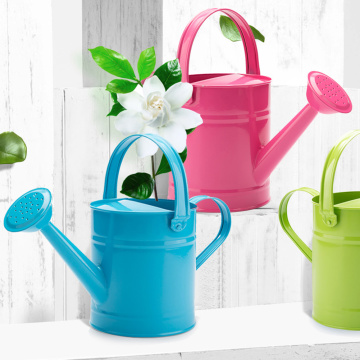 Garden Mini Pastoral Style Water Cans Colorful Iron Flower Pot Mini Bonsai Watering Pot Garden Supplies Spray Bottle Wholesale