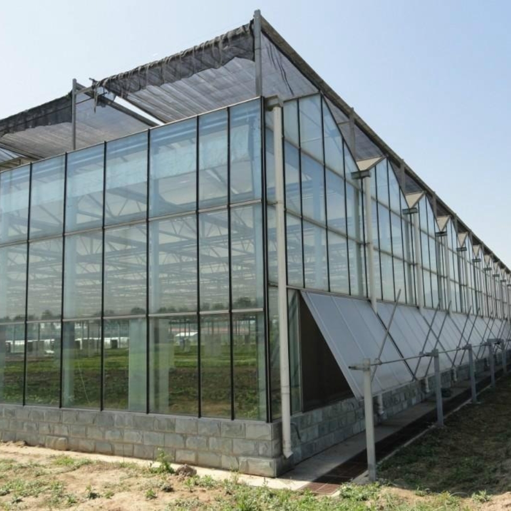 Glass Multi-span Greenhouse
