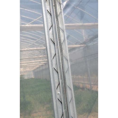 Skyplant Greenhouse Film Lock Profile And Wiggle Wire Manufacturers and Skyplant Greenhouse Film Lock Profile And Wiggle Wire Suppliers