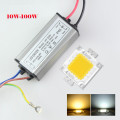 1Set High Power 10W 20W 30W 50W 100W Full Watt COB LED Lamp Chips With LED Driver DIY Flood Light Spotlight Lawn Lighting