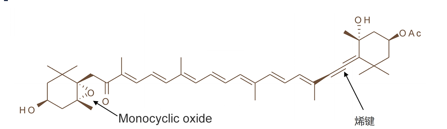 fucoxanthin1  