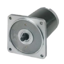 DC Induction Motor 55ZY Series