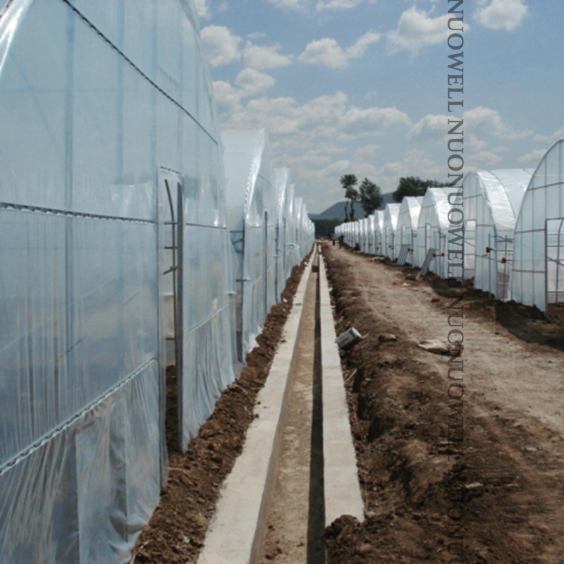 0.12mm Thickening Agricultural Plastic Greenhouse Film Farm Crops Vegetableg Garden Protective Film Width:2m~12m