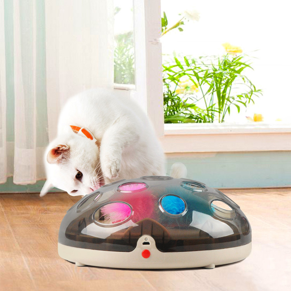 Cat Interactive Tos Pet Toy Smart Rechargeable Exercise Chaser Training Cat Teasing Toy with Feather Cat Toys Pet Accessories