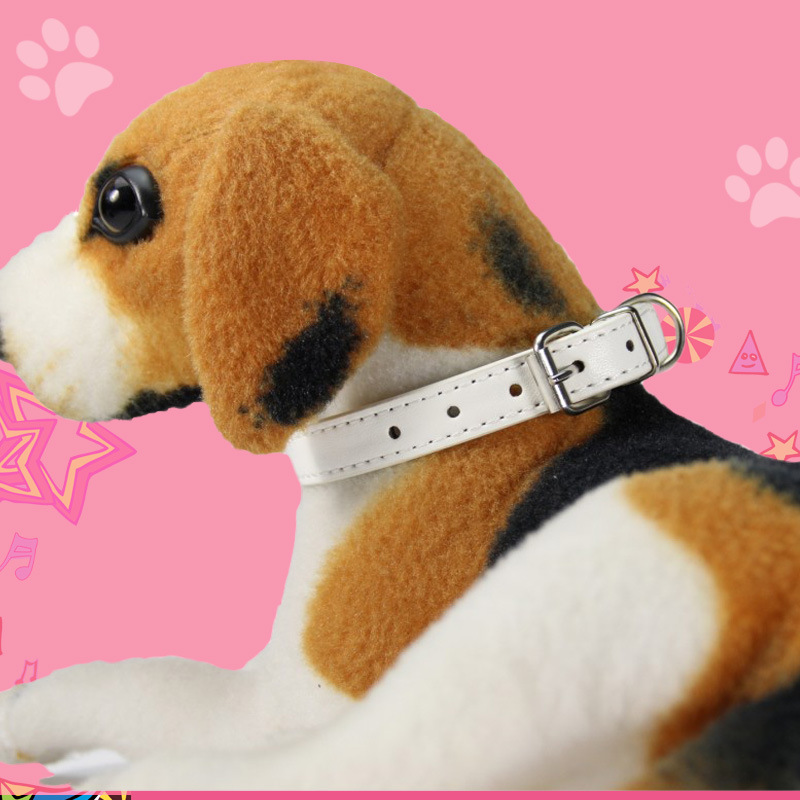 Leather Dog Collar Custom