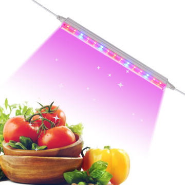 Led Grow Phyto Lamp 5PCS Full Spectrum Led Grow Lights Indoor Seed Seedlings Plants Growing And Flowers Fitolamp Fitolampy Led