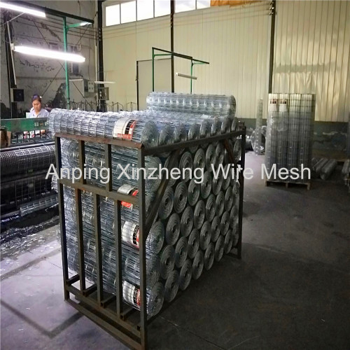 Galvanized Welded Wire Mesh Roll wholesale