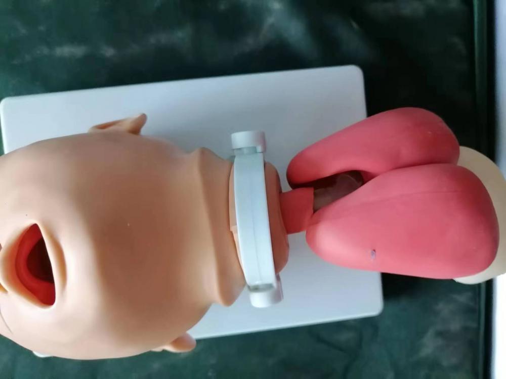 Child Endotracheal Intubation Model