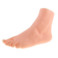 9.4'' Female Foot Mannequin Foot Model for Socks Chain Display