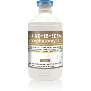 ND IB EDS H9 AE Inactivated Vaccine