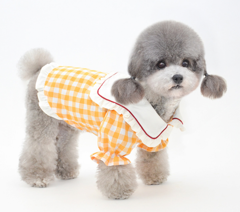 Pet Clothes