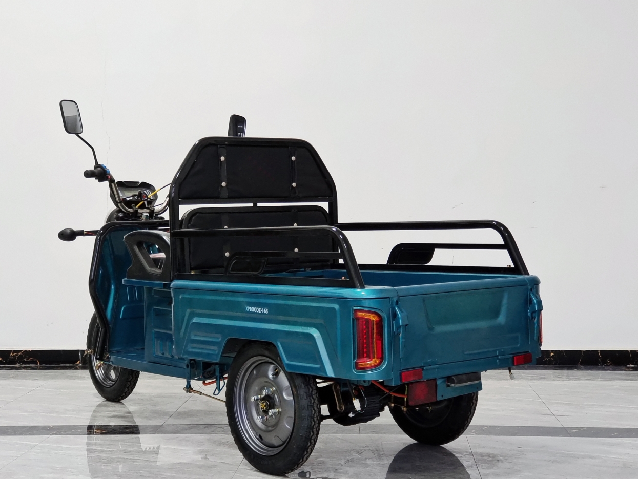 Small sized Flat Panel Electric Tricycle