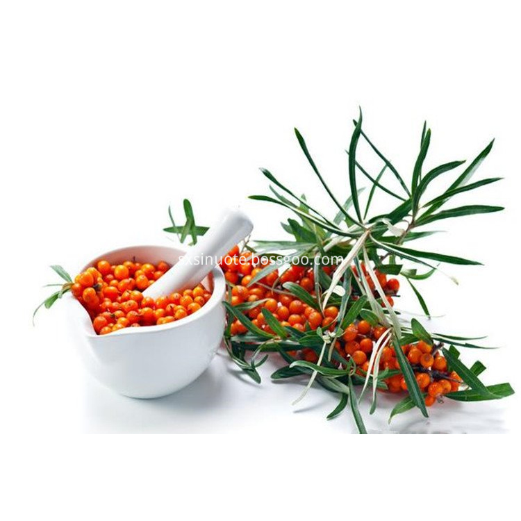 Sea Buckthorn Powder