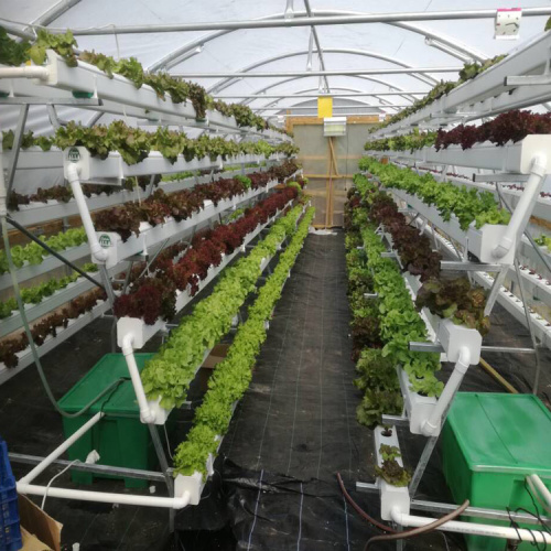 Hydroponic growing systems vertical tower garden NFT channel Manufacturers and Hydroponic growing systems vertical tower garden NFT channel Suppliers