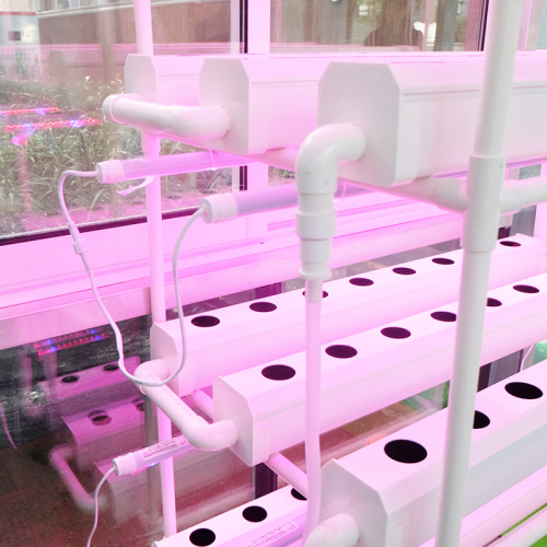 NFT Hydroponic System for home with led Manufacturers and NFT Hydroponic System for home with led Suppliers