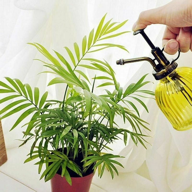 6 Colors Water Cans Glass Plant Flower Spray Bottle Watering Pot Garden Sprayer Vintage Home Hand Press Sprinkler Planting tool