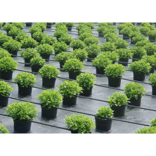 Greenhouse Drip Tape-Irrigation for Agriculture Manufacturers and Greenhouse Drip Tape-Irrigation for Agriculture Suppliers