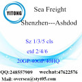 Shenzhen Port Sea Freight Shipping To Ashdod