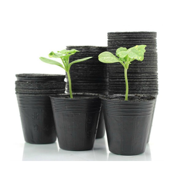100 pcs Nursery Pots Seedling-raising Pan Feeding Block Nutrition Pan Garden Supplies Free shipping Size 10*10