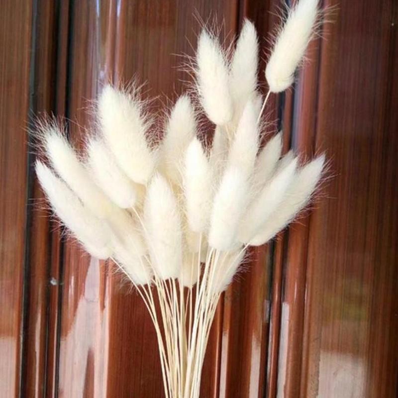 30pcs/set Natural Dried Flowers Rabbit Tail Grass Bunch Real Flower Ovatus For Wedding Colorful Decoration Lagurus Grass Pr L0Z1